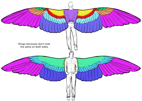 human wings anatomy